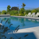 Piscine creusée en plein soleil au milieu de verdure